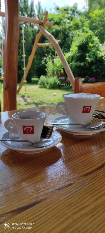 Rybarska Basta Vikletice - Nechranice Villa Kwon Buitenkant foto
